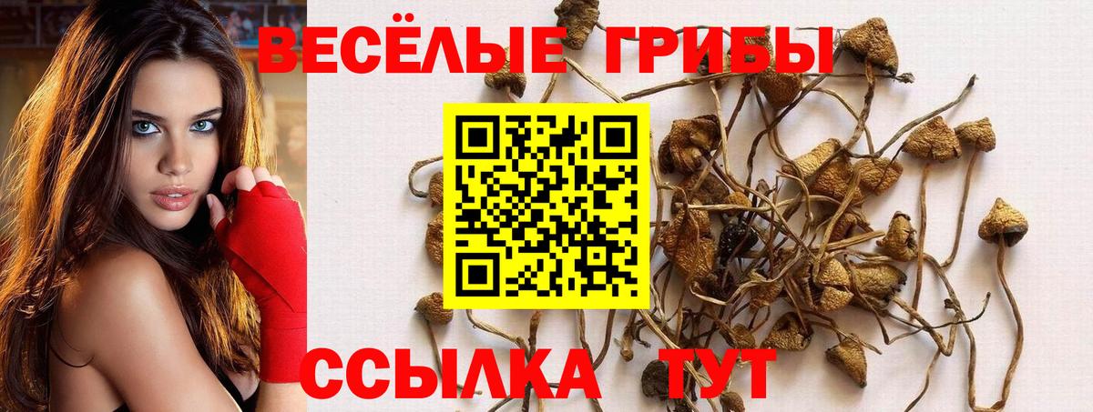 Галлюциногенные грибы MAGIC MUSHROOMS Уварово